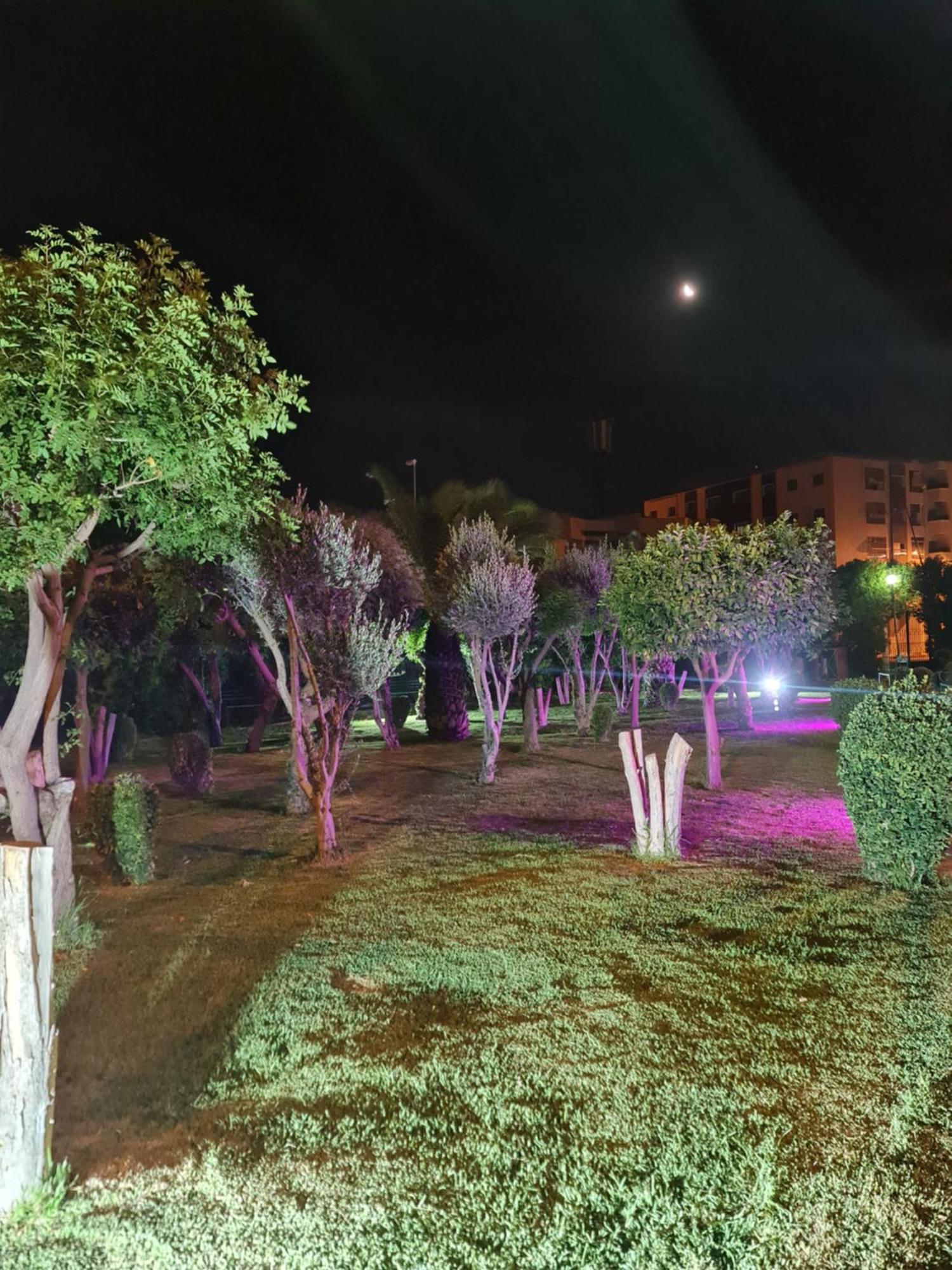 Fes Urban Apartment - Urban Elegance With Garden And Pool Access エクステリア 写真